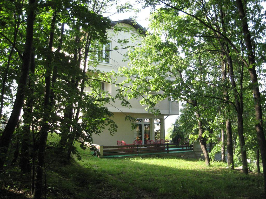 B&B Vila Vidikovac Aranđelovac Extérieur photo