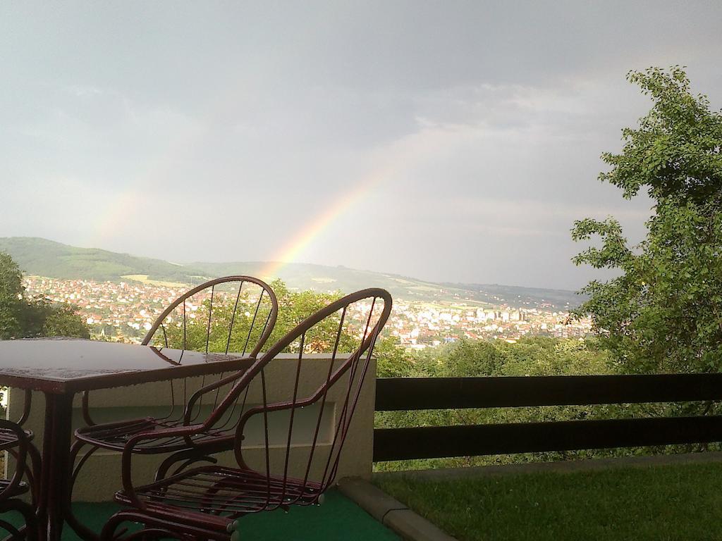 B&B Vila Vidikovac Aranđelovac Extérieur photo